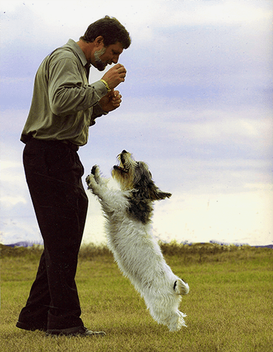 Greg Strong, Owner of Top of the Bay Pet Lodge with the famous PBGV, Fairchild